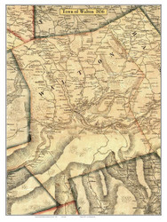 Walton, New York 1856 Old Town Map Custom Print - Delaware Co.