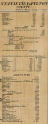 County Statistics, New York 1856 Old Town Map Custom Print - Fulton Co.