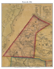 Prattsville, New York 1856 Old Town Map Custom Print - Greene Co.