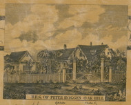 Res. of Peter Roggen, New York 1856 Old Town Map Custom Print - Greene Co.