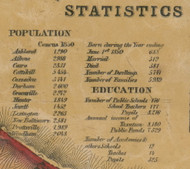 Population and Education Statistics, New York 1856 Old Town Map Custom Print - Greene Co.