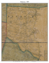 Manheim, New York 1859 Old Town Map Custom Print - Herkimer Co.