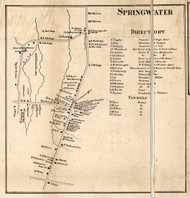 Springwater Village, New York 1858 Old Town Map Custom Print - Livingston Co.