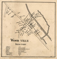 Woodville, New York 1858 Old Town Map Custom Print - Livingston Co.