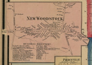 New Woodstock, New York 1859 Old Town Map Custom Print - Madison Co.