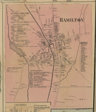 Hamilton Village, New York 1859 Old Town Map Custom Print - Madison Co.