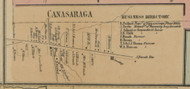 Canasaraga, New York 1859 Old Town Map Custom Print - Madison Co.