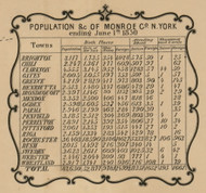 Population Statistics, New York 1852 Old Town Map Custom Print - Monroe Co.