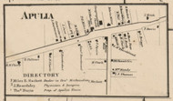Apulia, New York 1859 Old Town Map Custom Print - Onondaga Co.