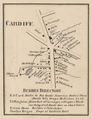Cardiff, New York 1859 Old Town Map Custom Print - Onondaga Co.