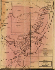 Naples Village, New York 1852 Old Town Map Custom Print - Ontario Co.