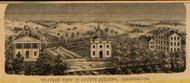 Western View of County Building, New York 1852 Old Town Map Custom Print - Ontario Co.