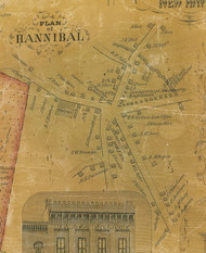 Hannibal Village, New York 1854 Old Town Map Custom Print - Oswego Co.