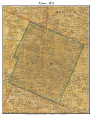 Palermo, New York 1854 Old Town Map Custom Print - Oswego Co.