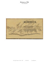 Schenevas - Maryland, New York 1856 Old Town Map Custom Print - Otsego Co.