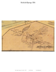 Richfield Springs, New York 1856 Old Town Map Custom Print - Otsego Co.