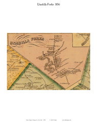 Unadilla Forks, New York 1856 Old Town Map Custom Print - Otsego Co.