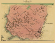 Cold Spring, New York 1854 Old Town Map Custom Print - Putnam Co.