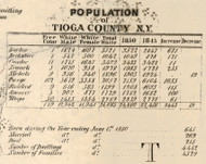 Population of Tioga County, New York 1855 Old Town Map Custom Print - Tioga Co.