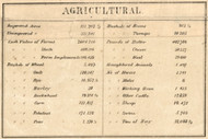 Agricultural Statistics, New York 1858 Old Town Map Custom Print - Warren Co.
