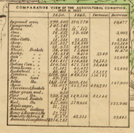 Agriculture Statistics, New York 1853 Old Town Map Custom Print - Washington Co.