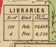 Libraries, New York 1853 Old Town Map Custom Print - Washington Co.