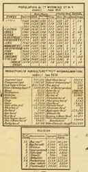 Statistics, New York 1853 Old Town Map Custom Print - Wyoming Co.