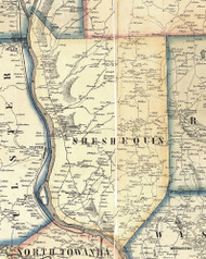 Sheshequin Township, Pennsylvania 1858 Old Town Map Custom Print - Bradford Co.