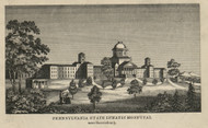 Pennsylvania State Lunatic Hospital - Dauphin Co., Pennsylvania 1858 Old Town Map Custom Print - Dauphin Co.