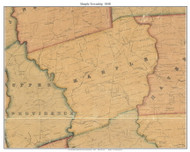 Marple Township, Pennsylvania 1848 Old Town Map Custom Print - Delaware Co.
