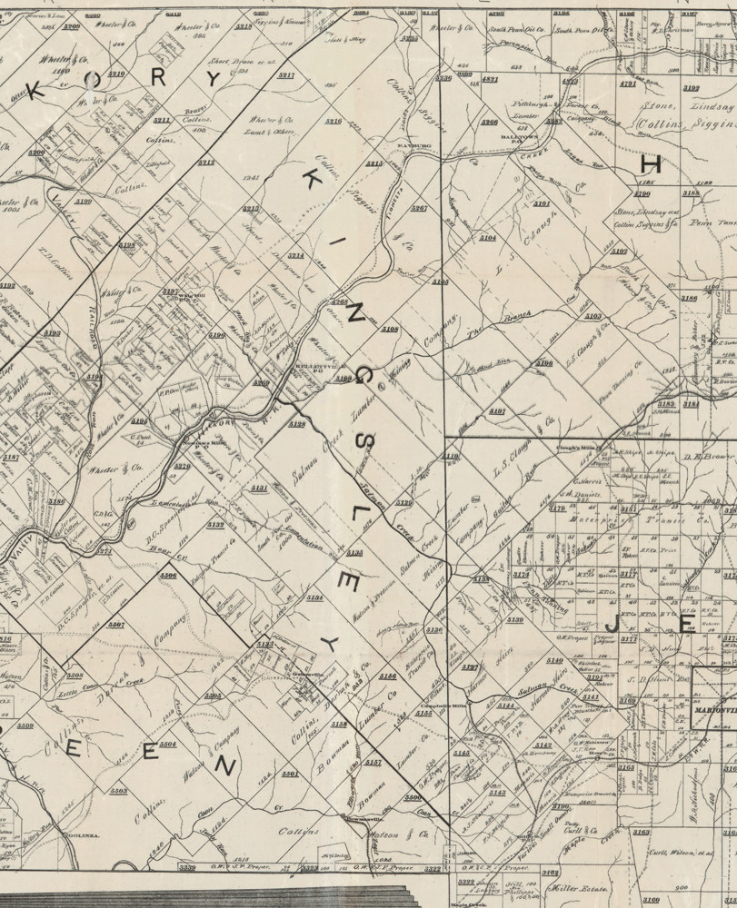 Kinglsey Township, Pennsylvania 1895 Old Town Map Custom Print Forest