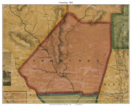 Cummings Township, Pennsylvania 1861 Old Town Map Custom Print - Lycoming Co.