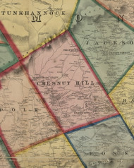 Chesnut Hill Township, Pennsylvania 1860 Old Town Map Custom Print - Monroe Co.