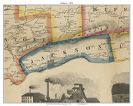 Jackson Township, Pennsylvania 1856 Old Town Map Custom Print - Union Co.