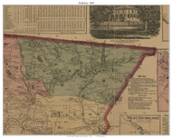 Nicholson Township, Pennsylvania 1869 Old Town Map Custom Print - Wyoming Co.