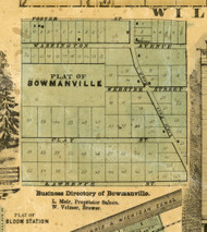 Bowmanville - Cook Co., Illinois 1861 Old Town Map Custom Print - Cook Co.