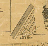 Long John - Cook Co., Illinois 1861 Old Town Map Custom Print - Cook Co.