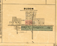 Bloom Village - Cook Co., Illinois 1886 Old Town Map Custom Print - Cook Co.