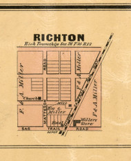 Richton - Cook Co., Illinois 1886 Old Town Map Custom Print - Cook Co.