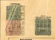 Homewood - Cook Co., Illinois 1886 Old Town Map Custom Print - Cook Co.