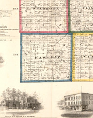 PawPaw, Illinois 1860 Old Town Map Custom Print - DeKalb Co.