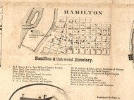 Hamilton Village - Hancock Co., Illinois 1859 Old Town Map Custom Print - Hancock Co.