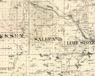 Salina, Illinois 1860 Old Town Map Custom Print - Iroquois & Kankakee Cos.