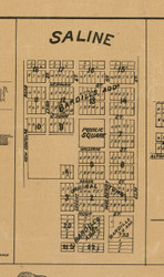 Saline Village, Illinois 1892 Old Town Map Custom Print - Madison Co.