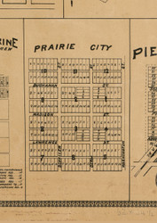 Prairie City Village, Illinois 1892 Old Town Map Custom Print - Madison Co.