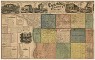 Carroll County, Illinois 1869 - Old Map Reprint