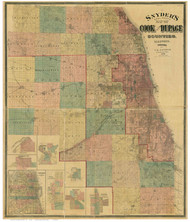 Cook, DuPage County, Illinois 1890 - Old Map Reprint
