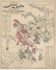 Adair, Cumberland, & Monroe County Kentucky ca1870 - Old Map Reprint