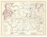 Surry County North Carolina 1921 - Old Map Reprint