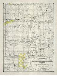 Parts of Eastland, Brown, and Comanche County Texas ca1890 - Old Map Reprint
